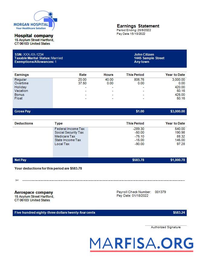 Downloadable Hospital company earning statement template